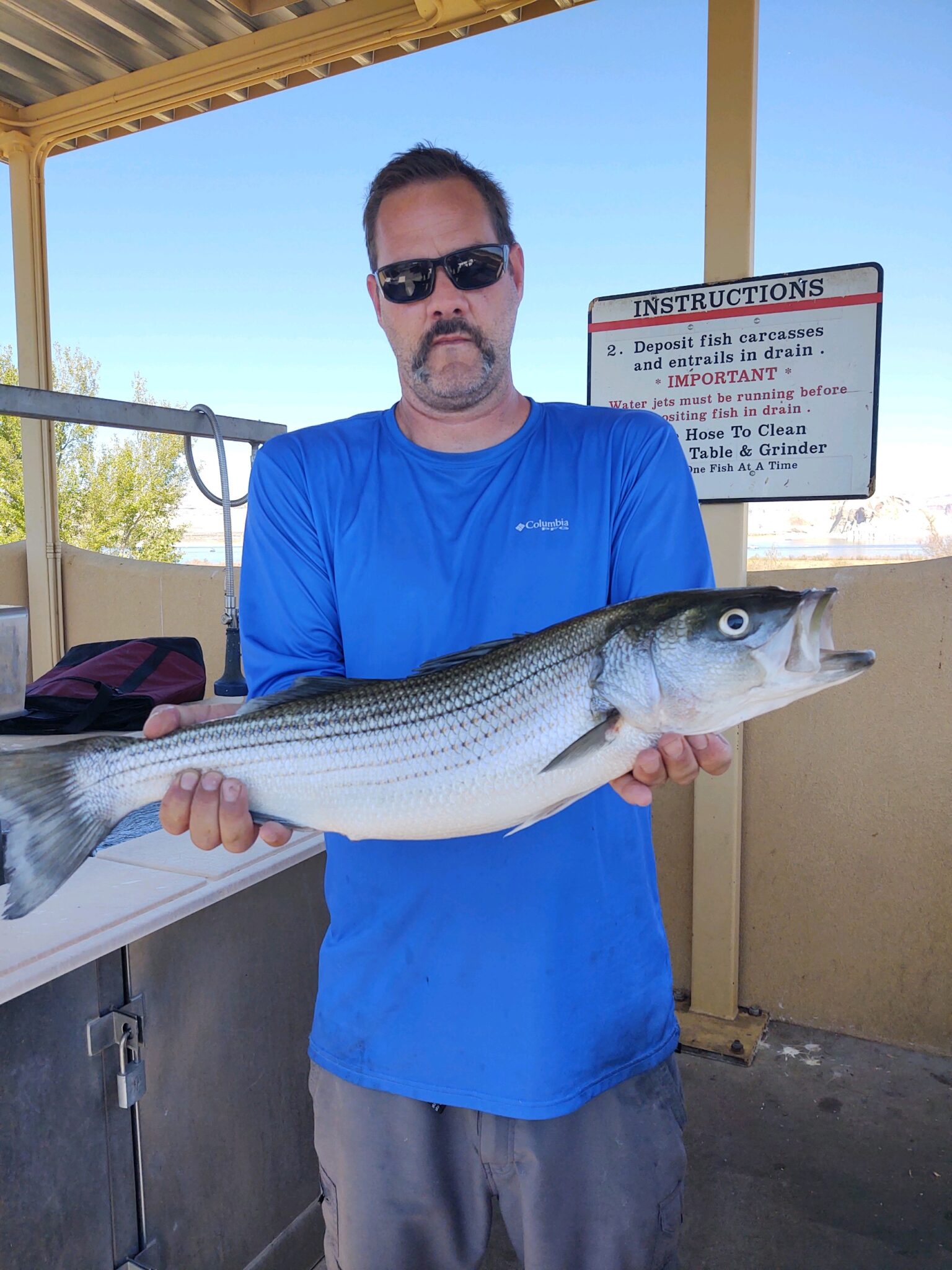 IMG_0143-1-1536x2048